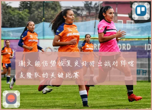 谢文能伤势恢复良好将出战对阵喀麦隆队的关键比赛