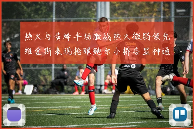 热火与黄蜂半场激战热火微弱领先维金斯表现抢眼鲍尔小桥各显神通